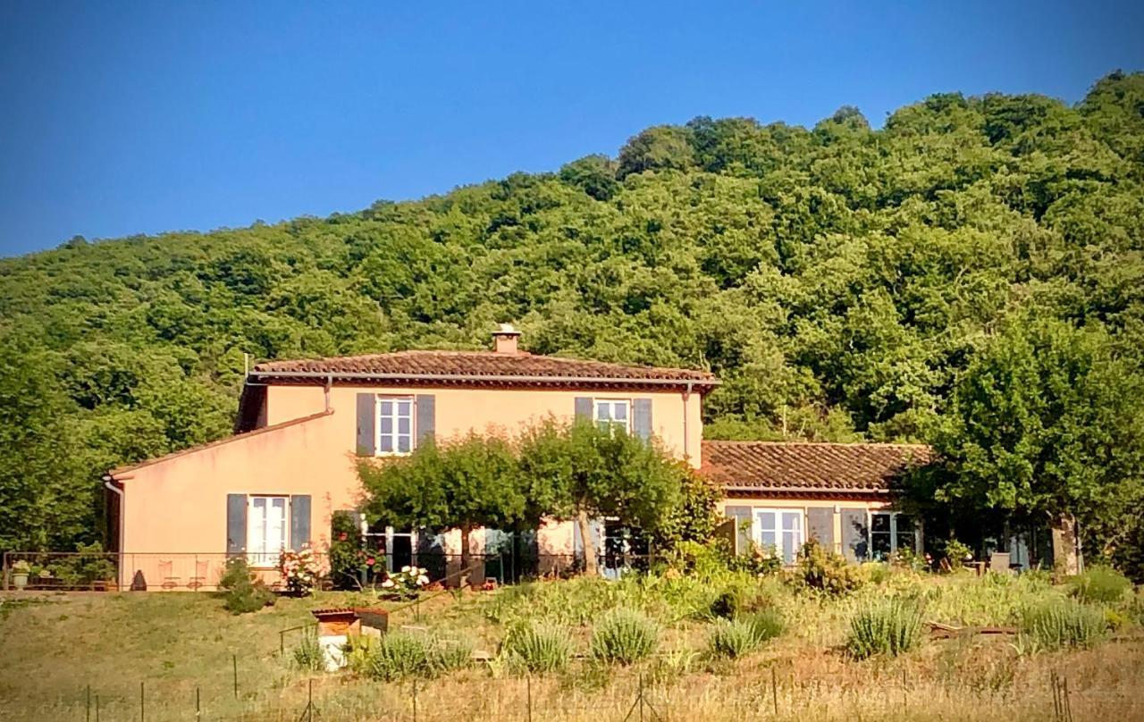 Domaine De Montbarri Bed and Breakfast La Tour-sur-Orb Exteriör bild